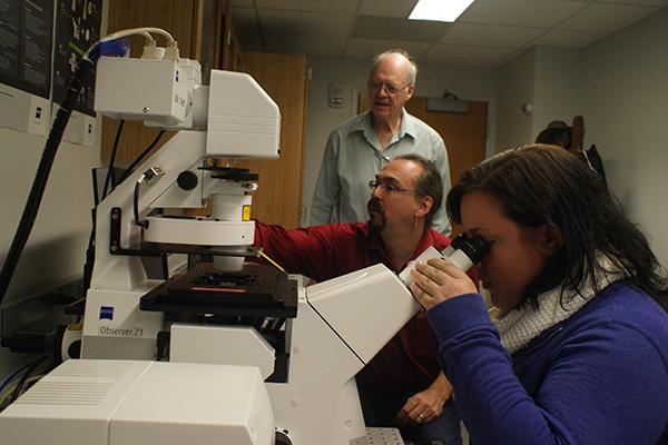 Women looking into microscope accompanied by two other researchers