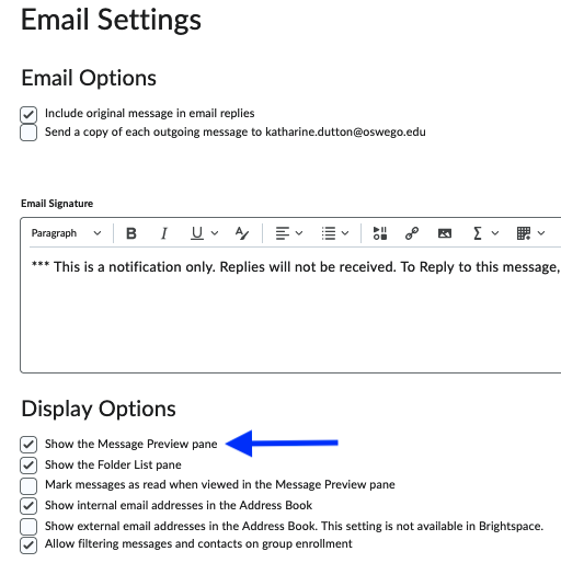 The image displays the location of the Show the Message Preview pane setting, which is located in the Display Options.