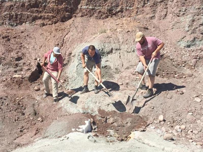 Fossil-hunting students flourish in New Mexico dig | SUNY Oswego news +  events