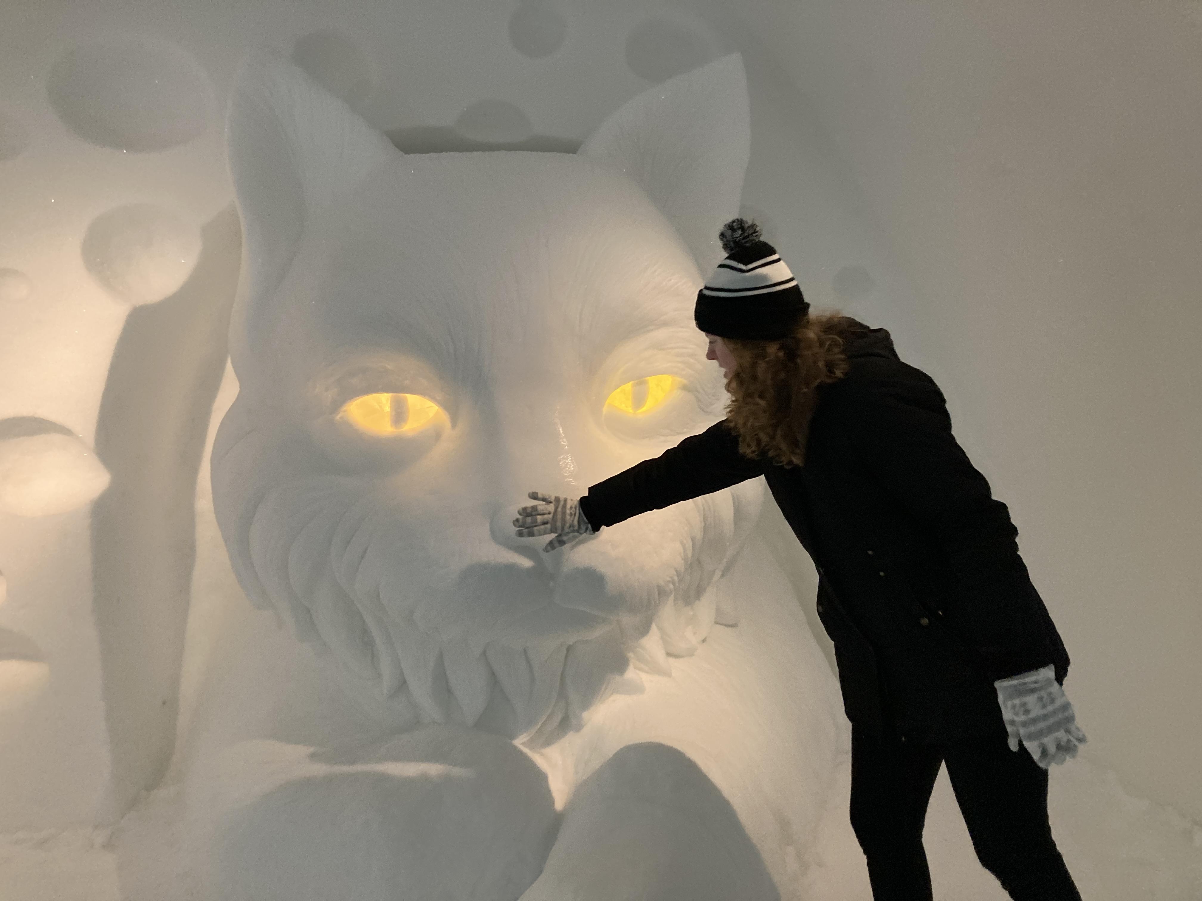 Oswego student touches an ice sculpture of a cat at the Icehotel in Sweden.