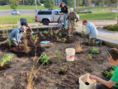 Students, faculty, staff and volunteers maintain the alvar garden on campus, one of many initiatives dovetailing with SUNY Oswego's recent Bee Campus USA designation