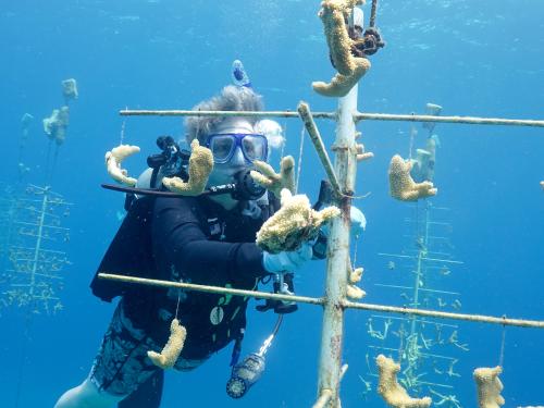 Sheila Sicilia takes part in a dive during a study-abroad trip to Honduras